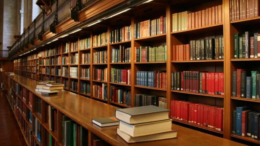 Деньги пойдут в книги: государство готовит новые выплаты для книжных магазинов и библиотек Деньги пойдут в книги: государство готовит новые выплаты для книжных магазинов и библиотек