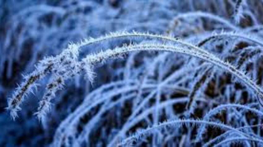 Украину ждет погода сюрприз: от ледяной ночи до штормового ветра — синоптик предупреждает об опасности