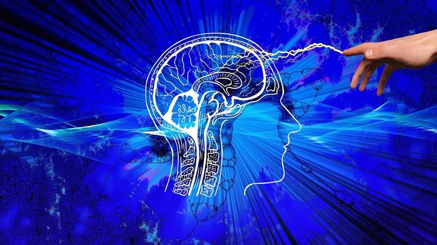 Поширені продукти, які “вбивають” мозок Поширені продукти, які “вбивають” мозок