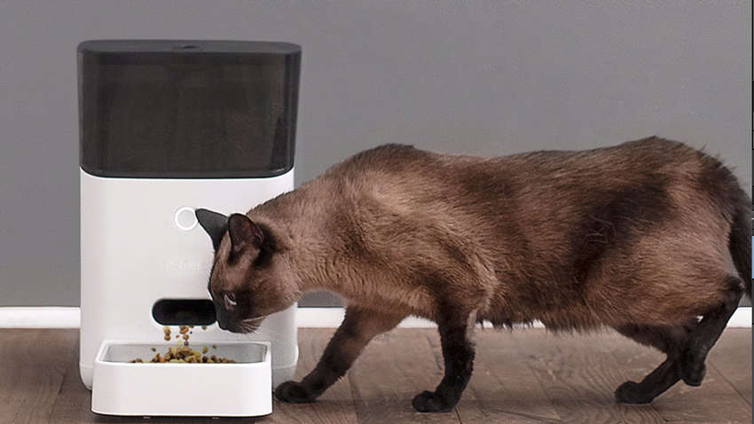 Домашні тварини голодували через збій "розумних" годівниць