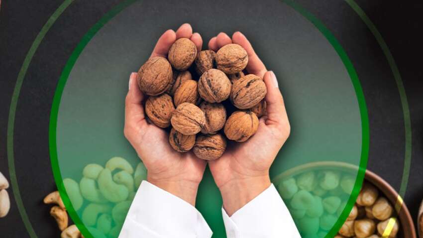 Чи можна переїсти горіхи: скільки горіхів корисно їсти щодня Чи можна переїсти горіхи: скільки горіхів корисно їсти щодня
