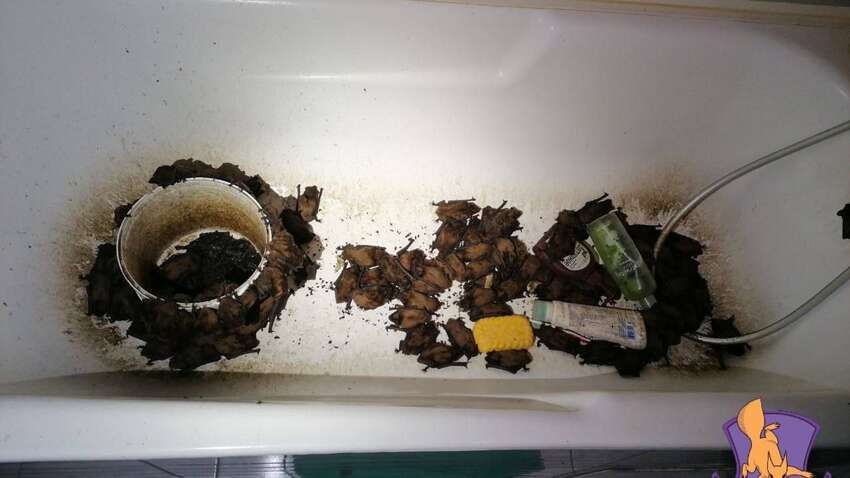 Українців попередили: чому не можна відчиняти вікна на провітрювання