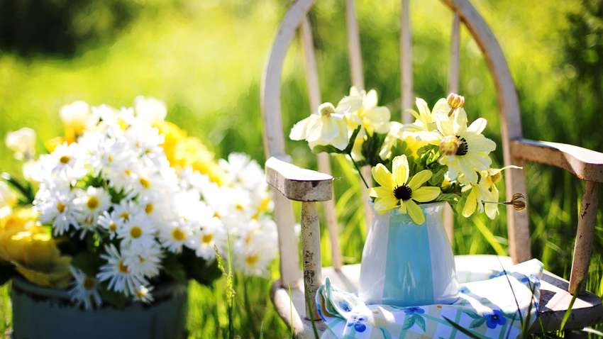 Міжнародний день праці: як з'явилося свято і що під забороною сьогодні