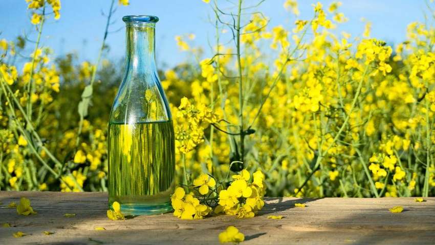 С помощью какого масла можно снизить уровень холестерина