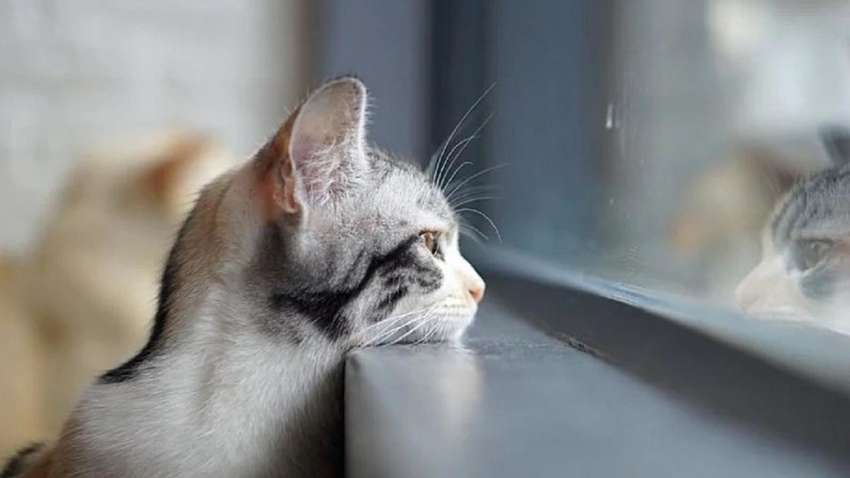 Синоптики рассказали, когда в Украину вернутся снег и морозы