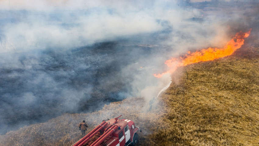 У Чорнобильській зоні тестують системи для раннього виявлення пожеж