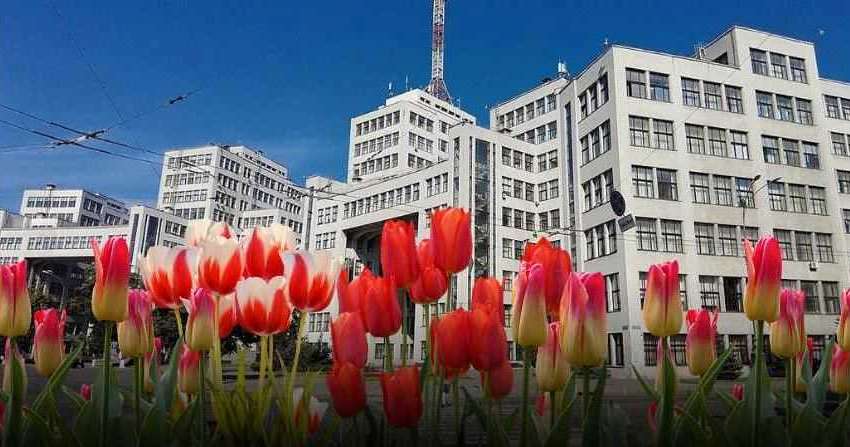 В Харькове хотят потратить почти полмиллиона на тюльпаны В Харькове хотят потратить почти полмиллиона на тюльпаны
