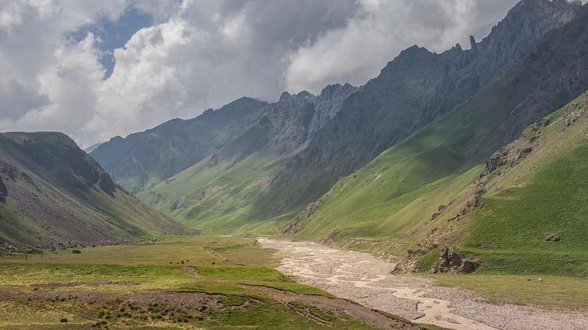 Украинцы помогут освободиться народам Кавказа, - нардеп