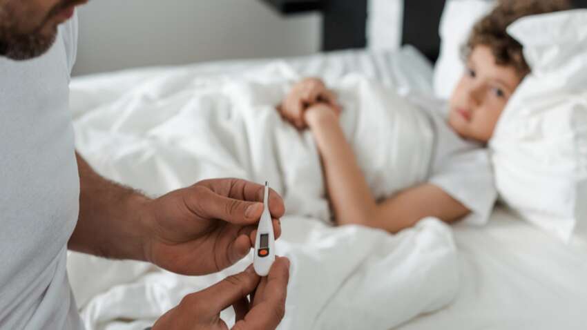 Небезпечний вірус виявили у Київській області: вражає нервову систему та серце