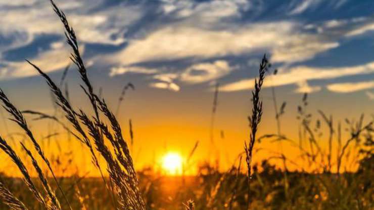 Якою буде погода, розповіли синоптики 