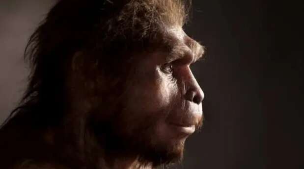 Сенсационное открытие в Испании: ученые обнаружили в Европе следы неизвестной популяции человека