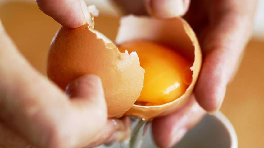Какого цвета яичные желтки более полезные Какого цвета яичные желтки более полезные