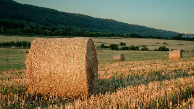 Церковне свято 16 липня: які важливі заборони діють сьогодні