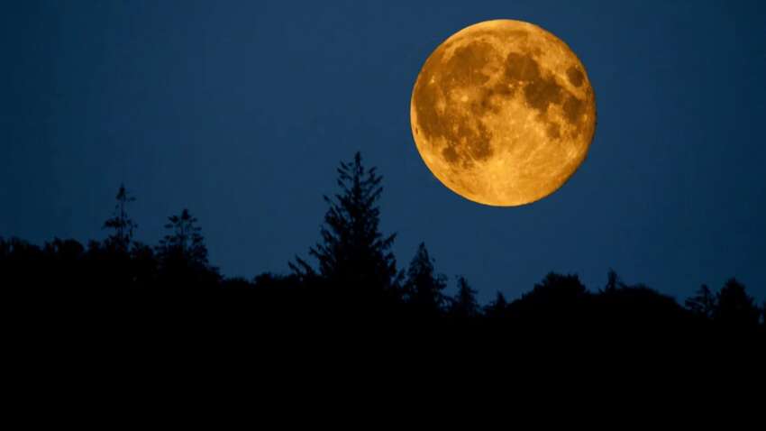Небо горит Бобровой Луной: сегодня — самое яркое суперлуние года