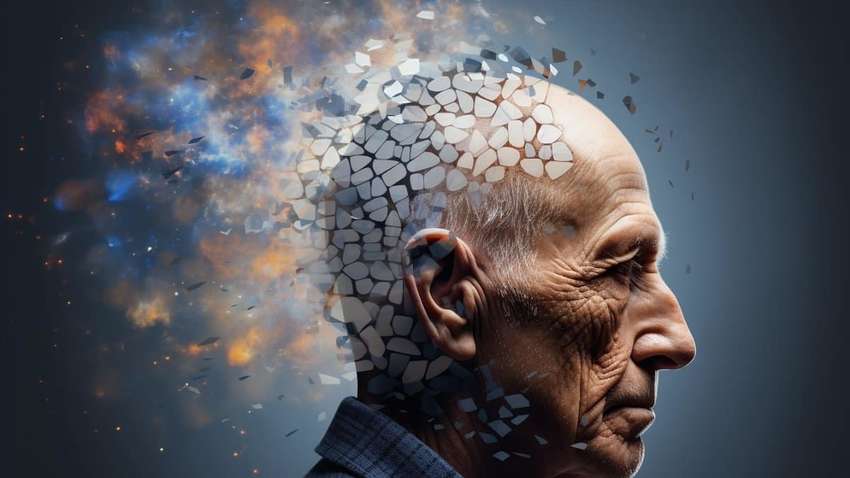 Названо, які продукти сильно впливають на старіння мозку та викликають хворобу Альцгеймера Названо, які продукти сильно впливають на старіння мозку та викликають хворобу Альцгеймера