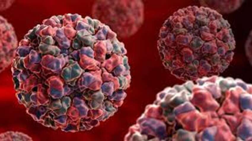 Будет карантин: в Украине впервые зафиксирован опасный субвариант COVID-19