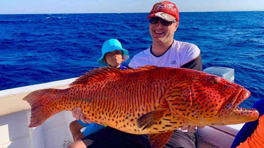 Рыбак поймал гигантского групера во время отпуска в Египте, вдвое обогнав мировой рекорд Рыбак поймал гигантского групера во время отпуска в Египте, вдвое обогнав мировой рекорд