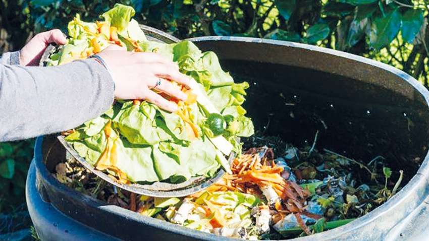 На четырех  континентах обещают снизить массу пищевых отходов 