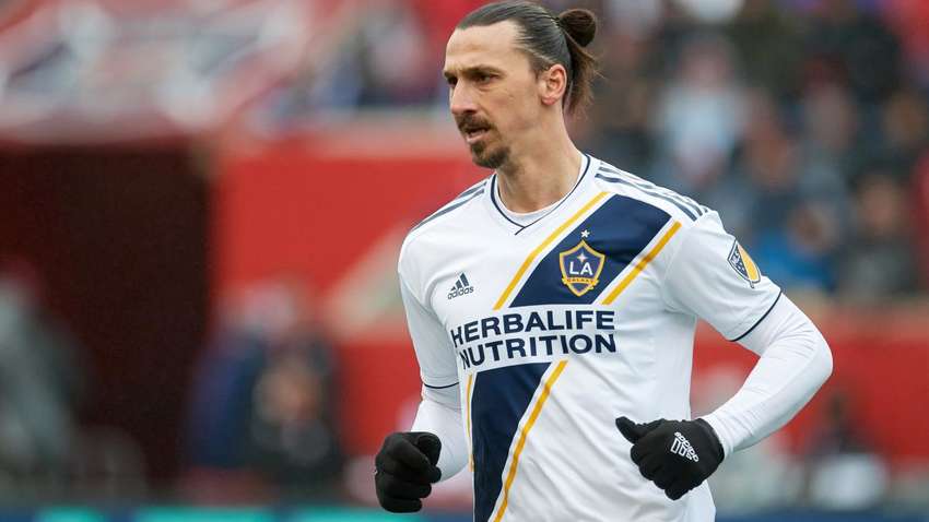 Спортивный директор «Болоньи» и агент Ибрагимовича провели переговоры по его переходу в итальянский коллектив