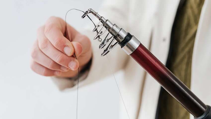 Как сказать "леска" по-украински: правильное название знают не все Как сказать "леска" по-украински: правильное название знают не все