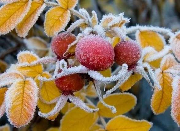 Погода в Україні: що блокує тепло і коли чекати на плюсові позначки