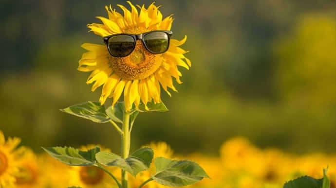 В Україну  повертається спека : стовпчик термометра показуватиме  +34 градуси В Україну  повертається спека : стовпчик термометра показуватиме  +34 градуси