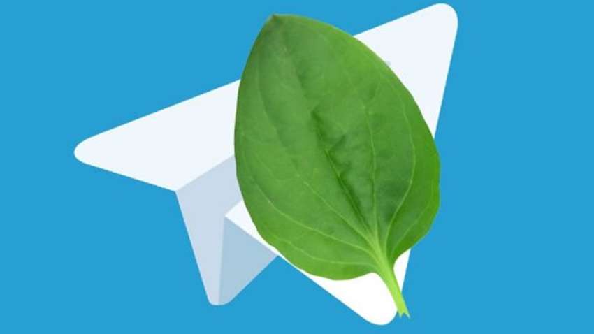 Telegram, живи: в работе популярного мессенджера снова произошли сбои Telegram, живи: в работе популярного мессенджера снова произошли сбои