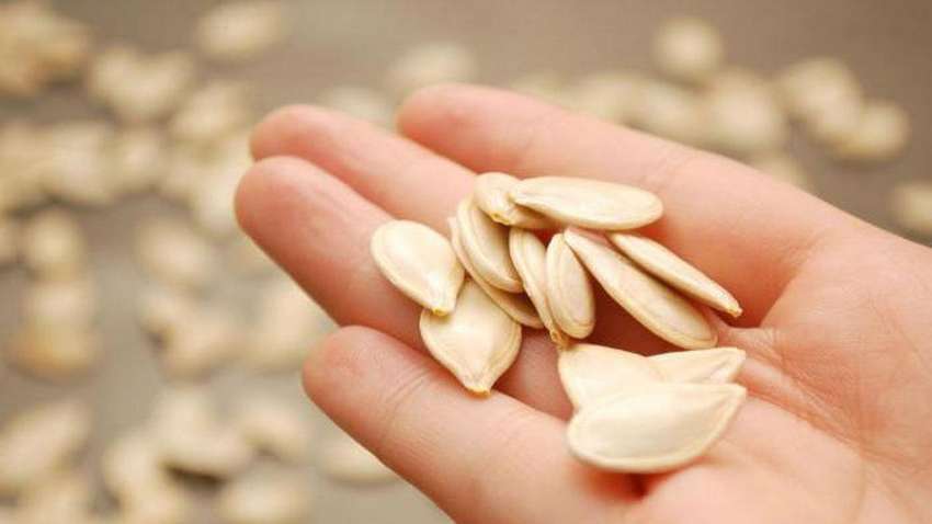 Названо неожиданное свойство тыквенных семечек Названо неожиданное свойство тыквенных семечек