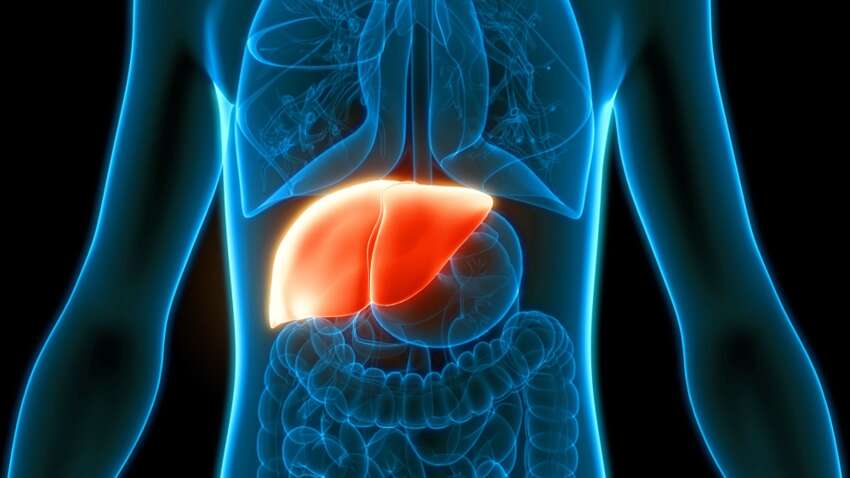 Ваша печень в шаге от уничтожения через один напиток: медики шокировали предупреждением 