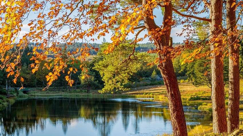 В некоторых областях ударит +30 градусов: когда и где изменится погода в Украине