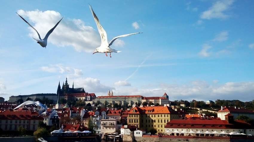 Бюджетно в Прагу: как сэкономить на путешествии в золотой город