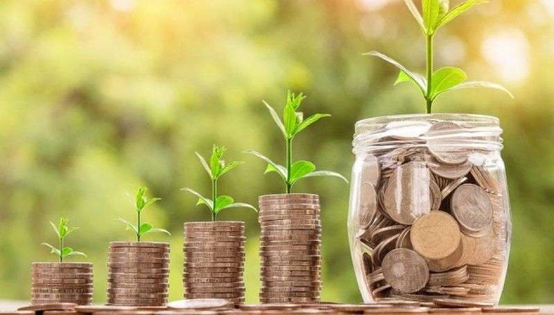 Украинским фермерам заплатили из бюджета 81,4 млн грн