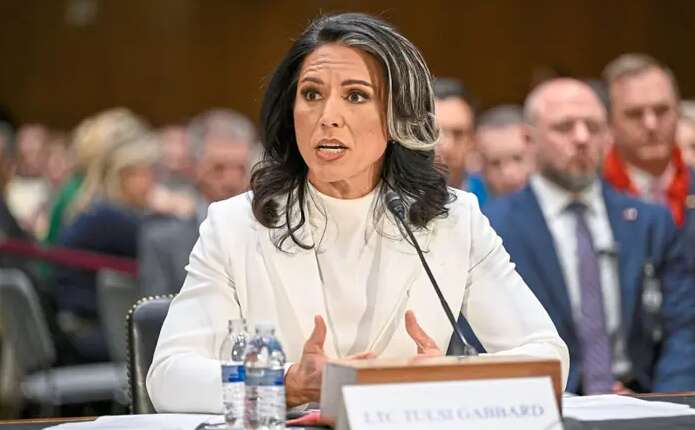 Голова розвідки США пояснила, чому Трамп зупинив військову допомогу Україні