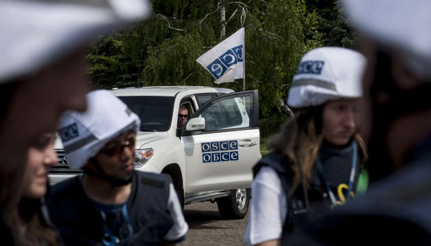 Глава миссии ОБСЕ на Донбассе выгнал из состава фаната "Л/ДНР"