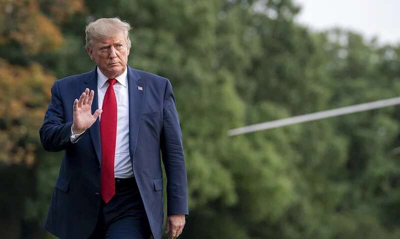 Трамп еще до избрания начинает войну против Зеленского: что заявил республиканец