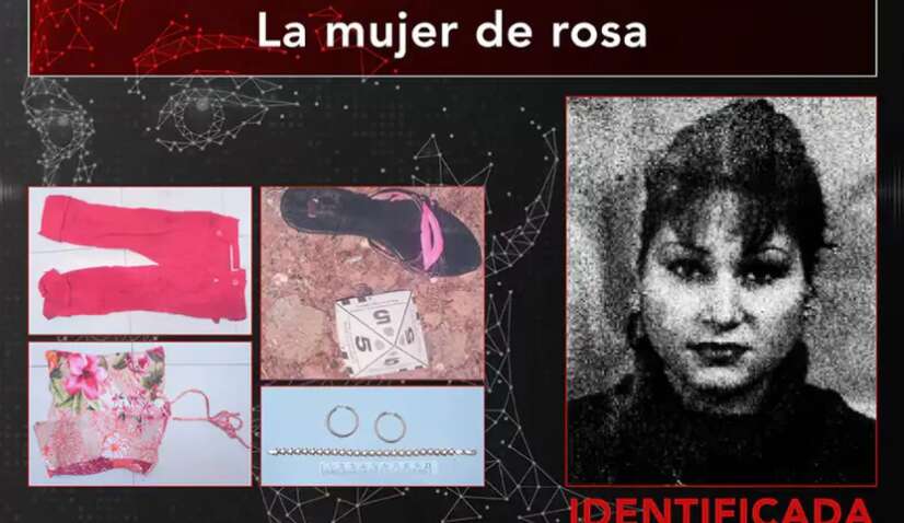 Полиция установила личность загадочной "женщины в розовом": она россиянка Полиция установила личность загадочной "женщины в розовом": она россиянка