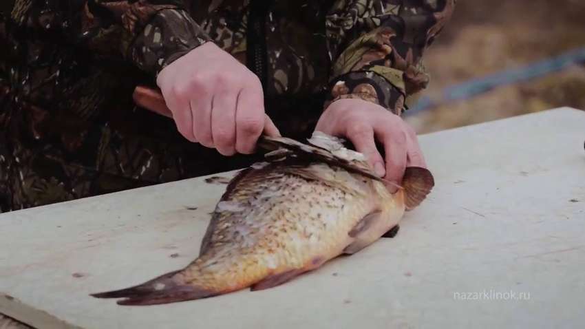 Як правильно підібрати ніж для риболовлі