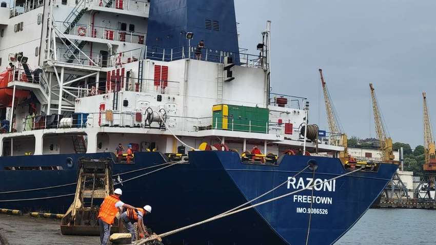 В Лівані відмовилися від українського зерна: у посольстві назвали причину