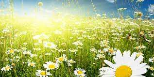 Синоптики рассказали, где пройдут дожди