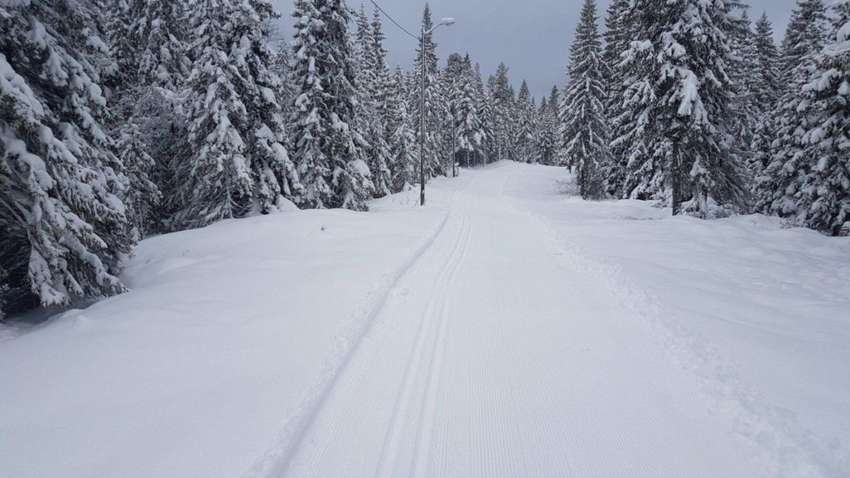 В Карпатском регионе из-за снега могут частично перекрыть дороги