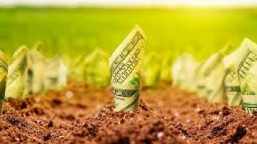 Українська земля  різко дорожчає: коли продавати, щоб отримати подвоєну вигоду