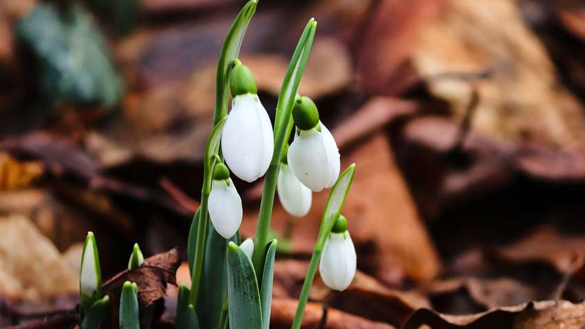 В Укргідрометцентрі повідомили, якою буде погода в березні: оновлений прогноз   В Укргідрометцентрі повідомили, якою буде погода в березні: оновлений прогноз