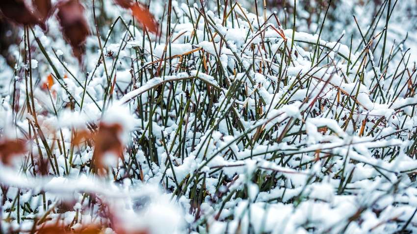 "Готуйтеся до зими": в Україні вже випав сніг