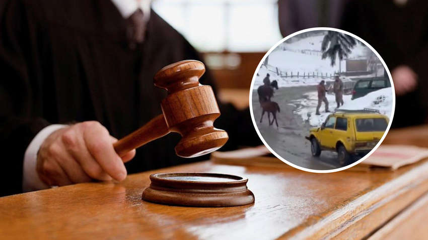 Чоловіки на коні та з сокирами напали на працівників ТЦК: суд виніс перші рішення