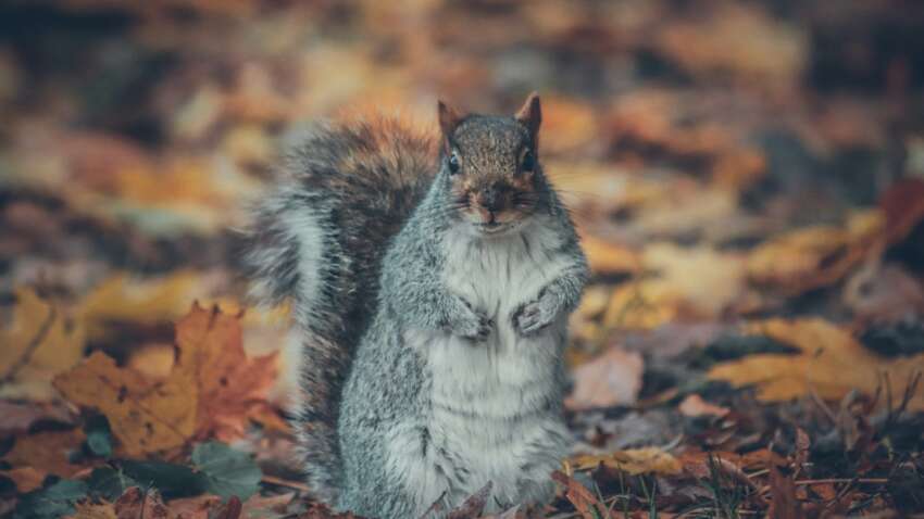 Церковный праздник 22 октября: три большие запрета этого дня