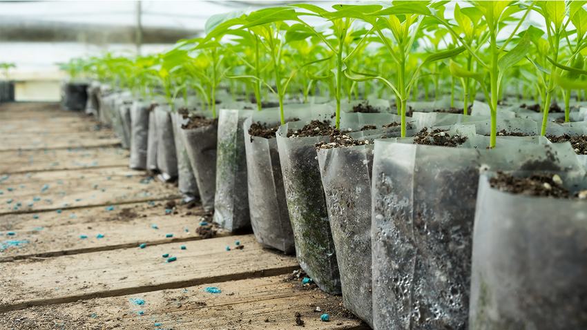 Вчені визначили хобі, яке приносить щастя