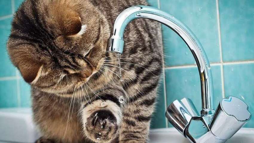 Сотни одесситов останутся без воды: полный список адресов