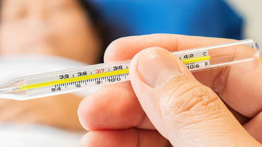 В Вашингтоне умер первый в мире пациент, инфицированный штаммом H5N5: что известно и есть ли угроза для людей