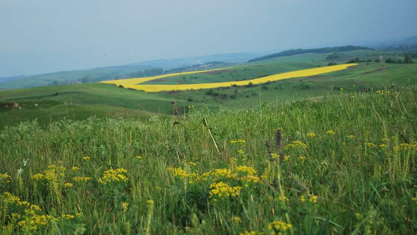 На Україну налетять дощі та спека: де сильно погіршитися погода