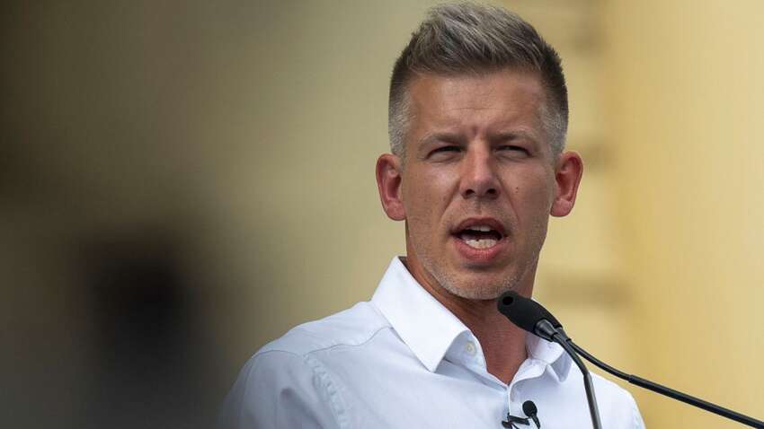 Украину ждет большое разочарование после выборов в Венгрии: названа неожиданная причина 